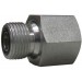 TOR214681